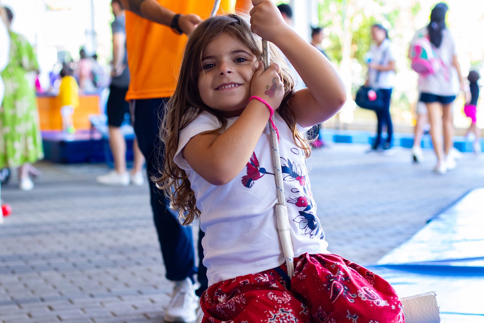 Imagem da galeria 4