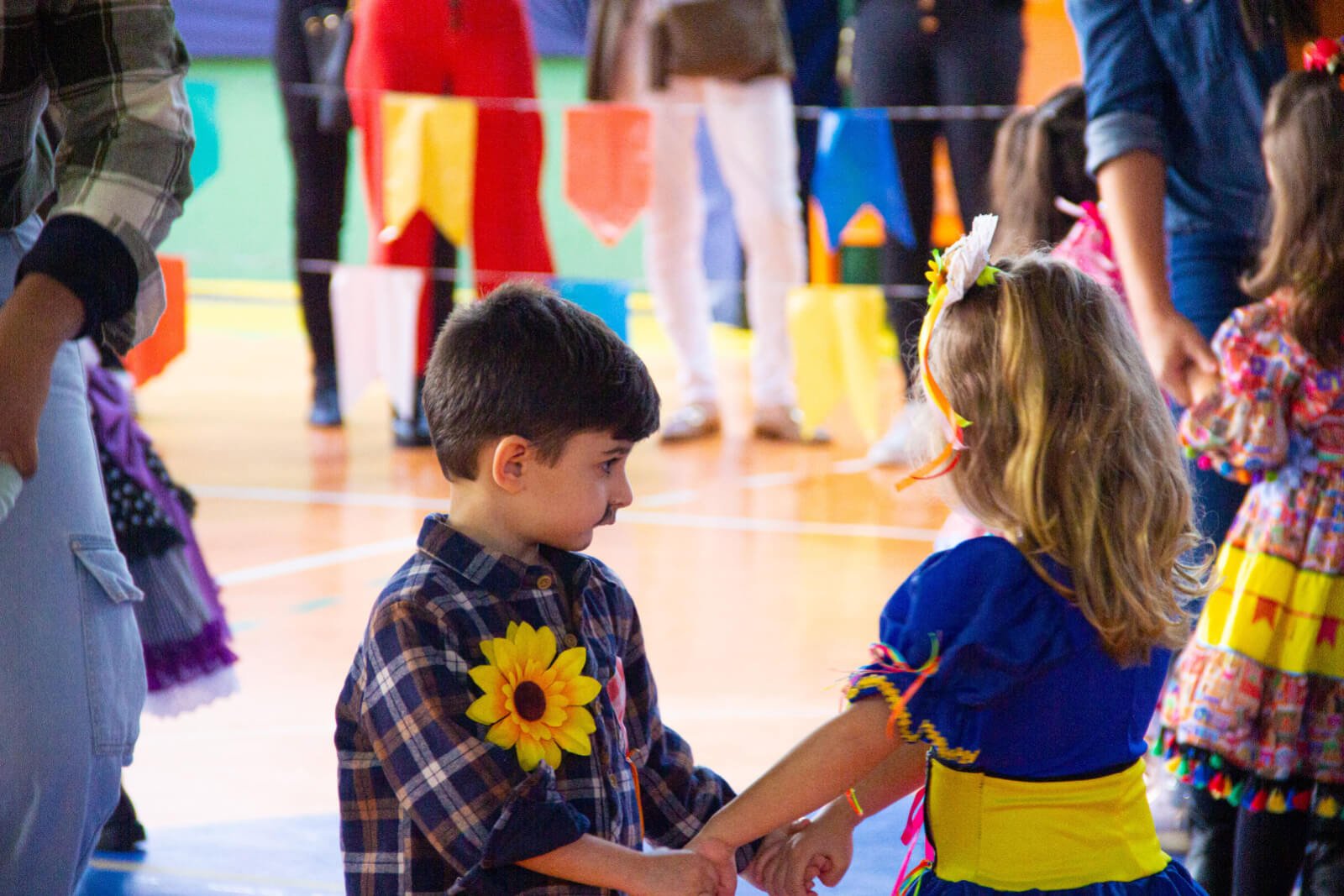 Imagem da galeria 6