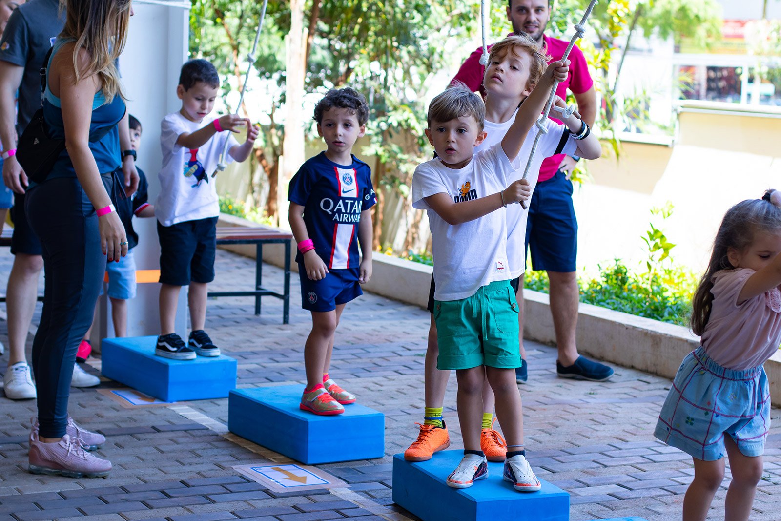 Imagem da galeria 3