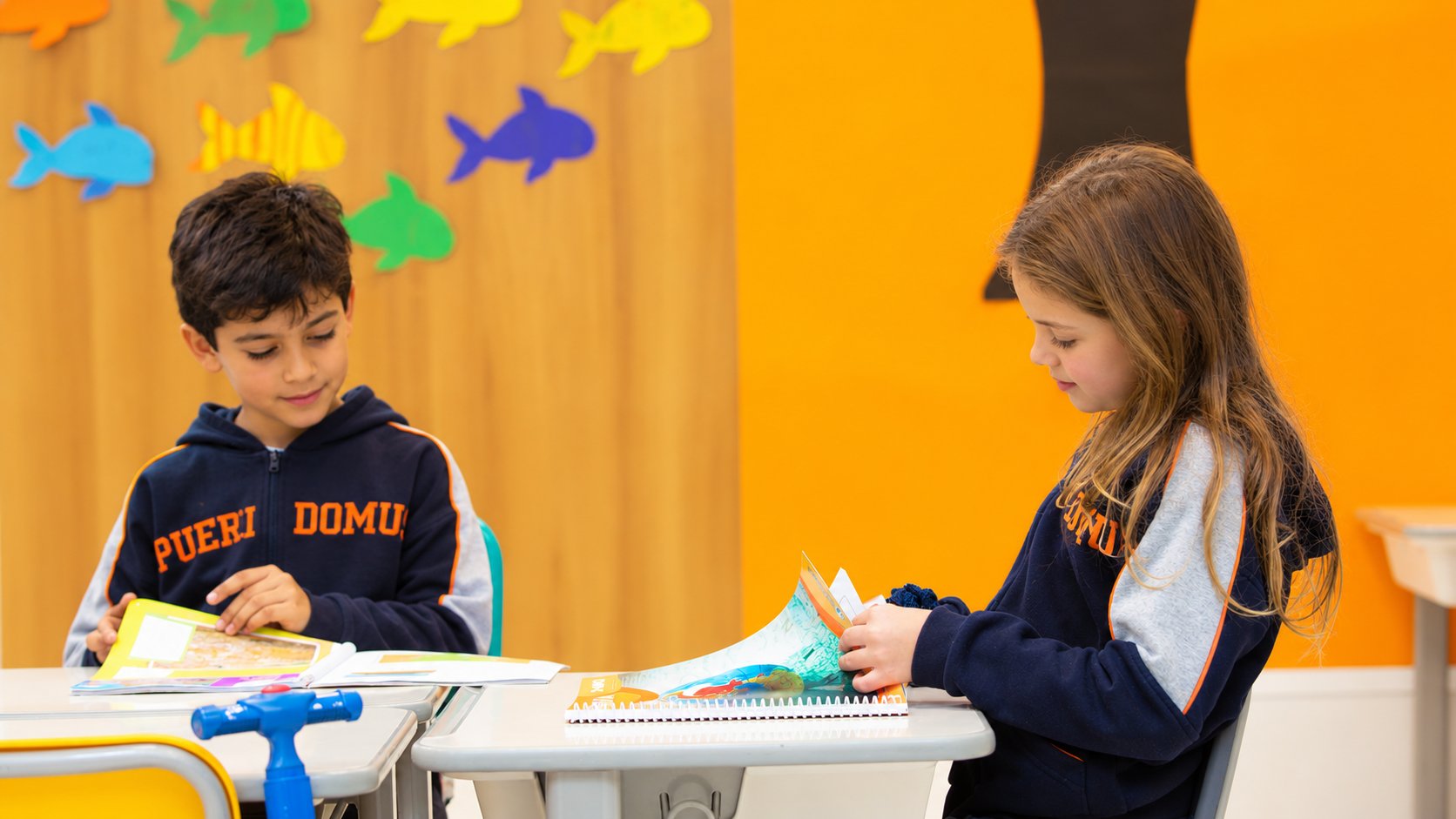 escola-bilíngue-pueri-domus-galeria-ensino-fundamental-1-anos-iniciais